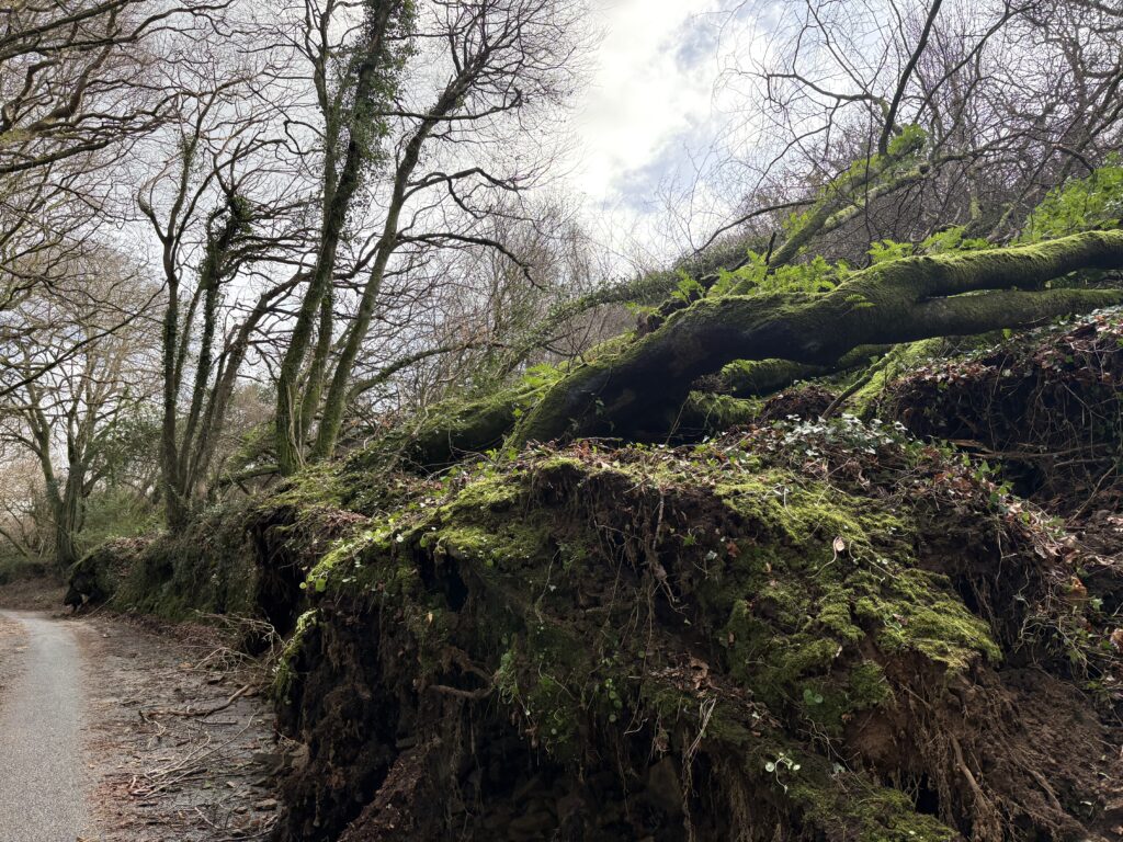 Storm Goretti in Cornwall