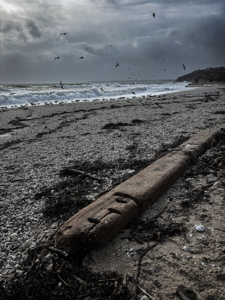 Driftwood on Gyllyngvase beach