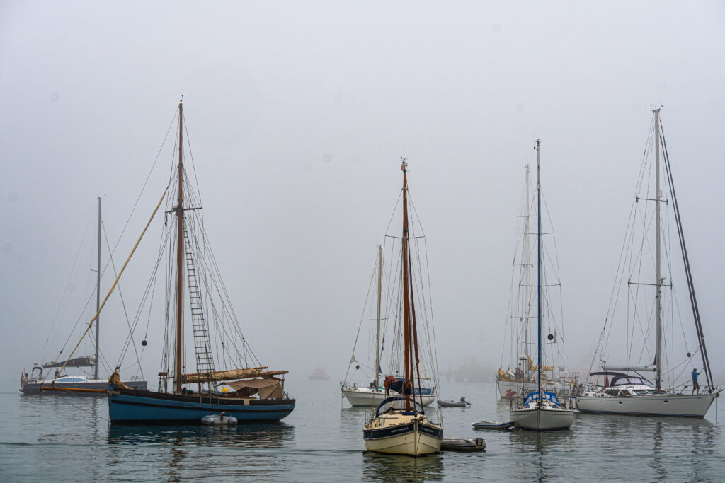 Yachts resting in Falmouth Harbour